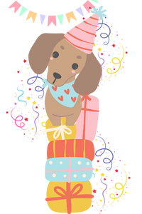 imagen-decorativa-perrocumpleañero